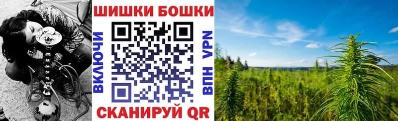 Бошки марихуана конопля  продажа наркотиков  Азнакаево 